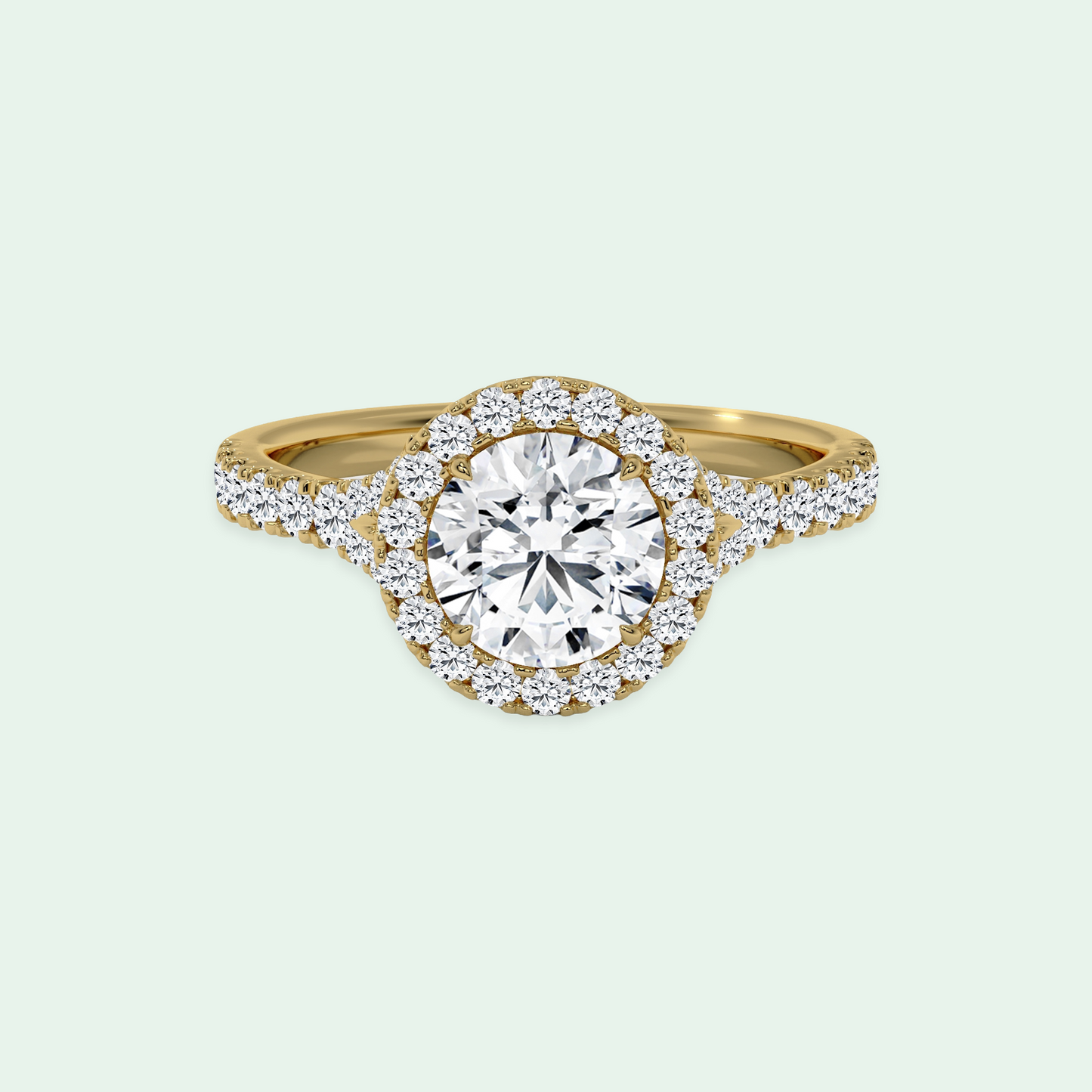 CLEMENCE SPLIT SHANK