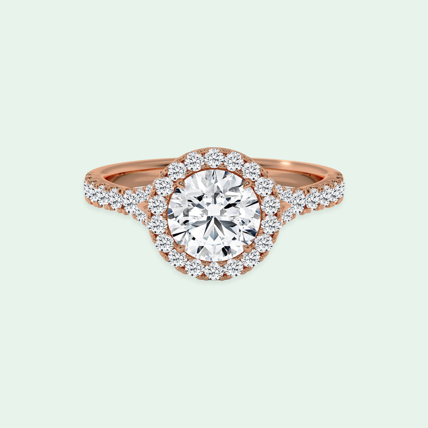 CLEMENCE SPLIT SHANK
