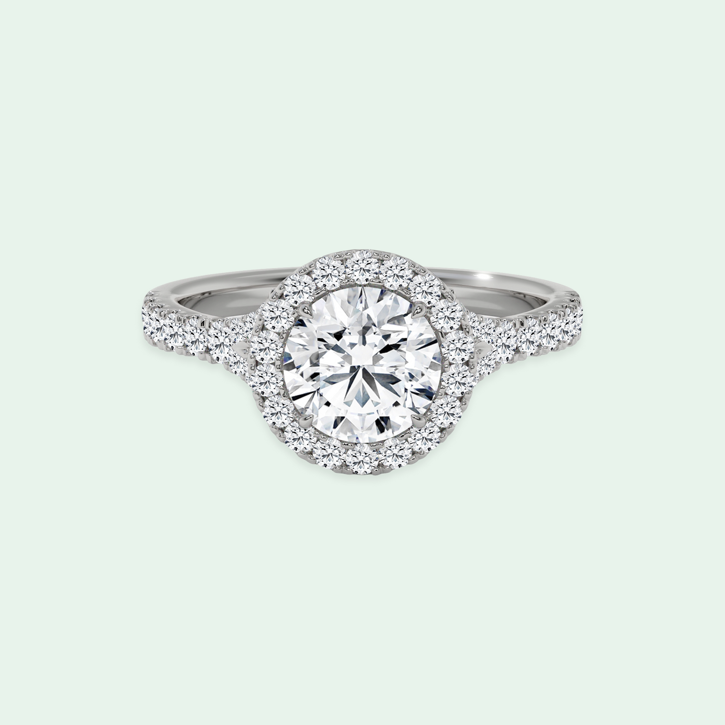CLEMENCE SPLIT SHANK