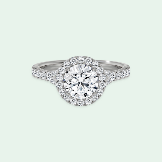 CLEMENCE SPLIT SHANK