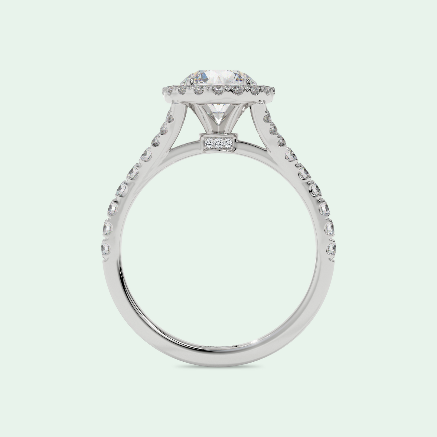 CLEMENCE SPLIT SHANK