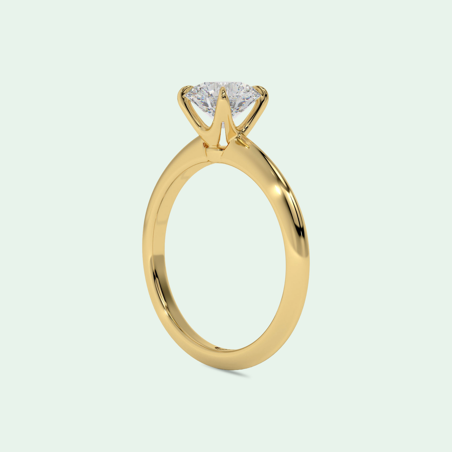PAYLQUE FOUR CLAW