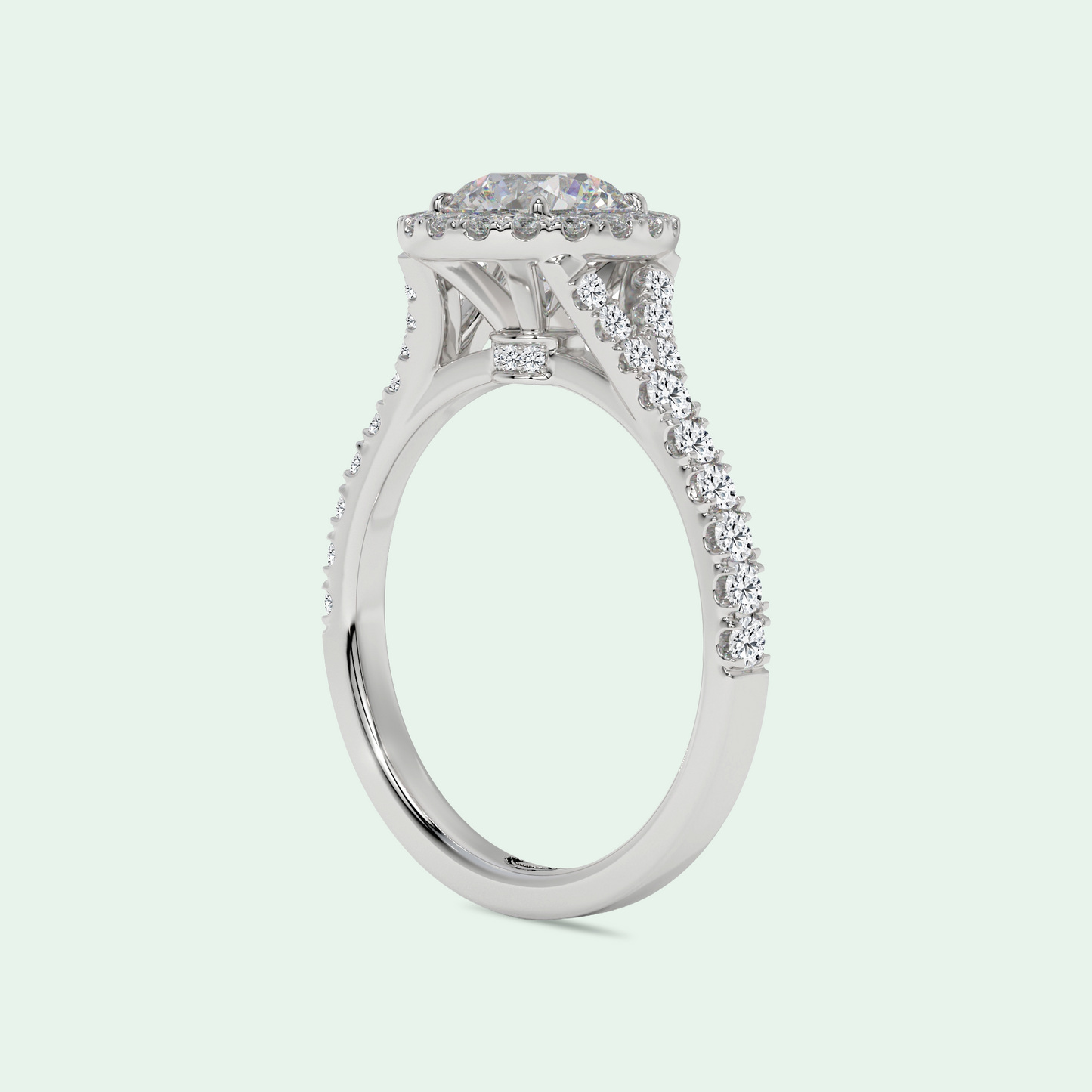 CLEMENCE SPLIT SHANK